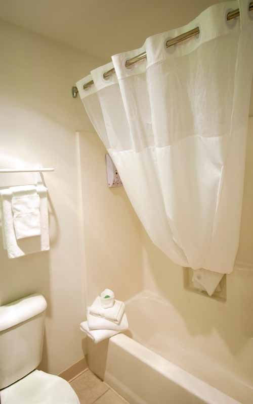 Does the hookless shower curtain have a window option?